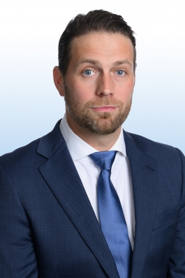 Lewis Moss MD