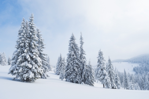 Navigating Winter Wonderland: Orthopedic Tips for Snowy Days